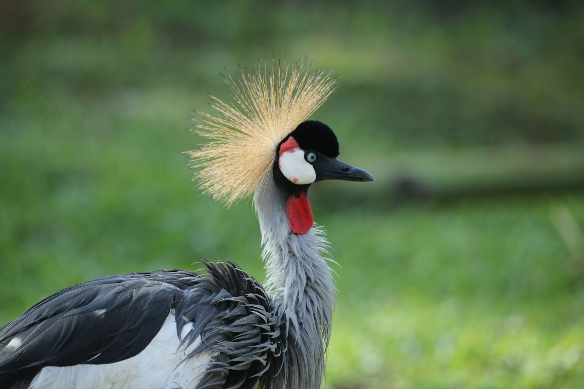 visit uganda